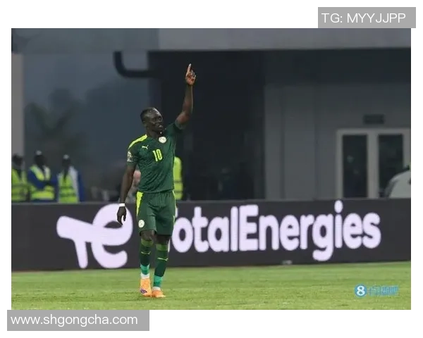 马内足球明星大全解析他的辉煌成就与影响力的全面介绍